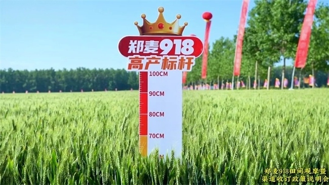 微信图片_20260610163640.jpg
